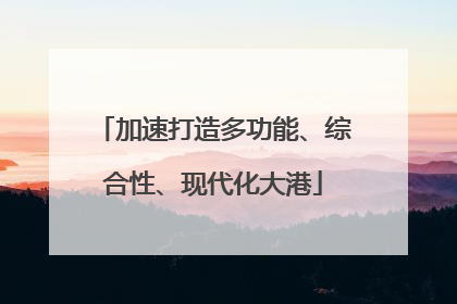 加速打造多功能、综合性、现代化大港