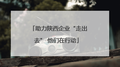 助力陕西企业“走出去” 他们在行动