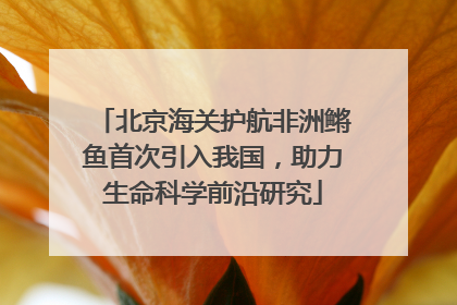 北京海关护航非洲鳉鱼首次引入我国，助力生命科学前沿研究