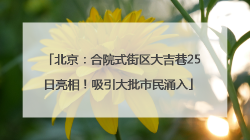 北京：合院式街区大吉巷25日亮相！吸引大批市民涌入