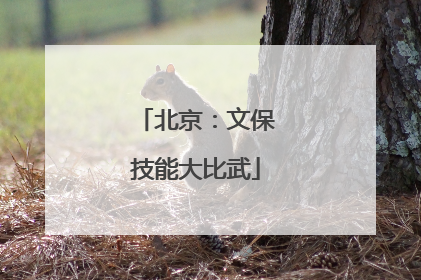 北京：文保技能大比武