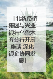 北新路桥集团与兴业银行乌鲁木齐分行开展座谈 深化银企协同发展