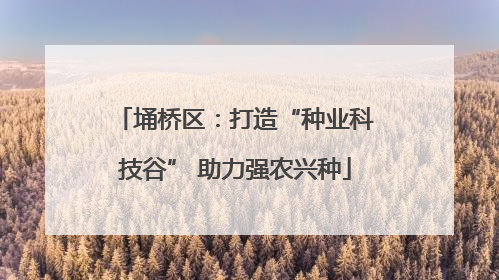 埇桥区：打造“种业科技谷” 助力强农兴种