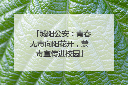 城阳公安：青春无毒向阳花开，禁毒宣传进校园