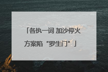 各执一词 加沙停火方案陷“罗生门”