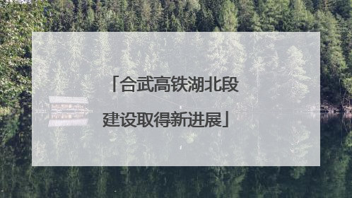 合武高铁湖北段建设取得新进展