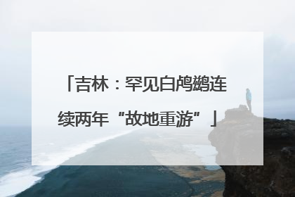 吉林：罕见白鸬鹚连续两年“故地重游”