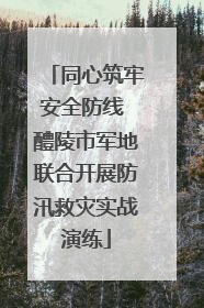 同心筑牢安全防线 醴陵市军地联合开展防汛救灾实战演练