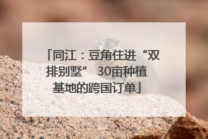 同江：豆角住进“双排别墅” 30亩种植基地的跨国订单