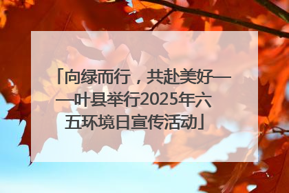 向绿而行，共赴美好——叶县举行2025年六五环境日宣传活动