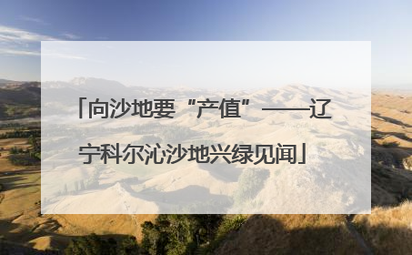 向沙地要“产值”——辽宁科尔沁沙地兴绿见闻