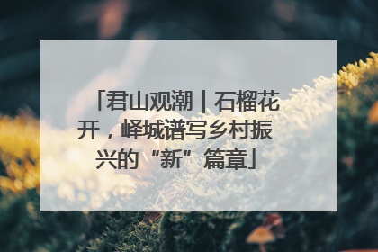 君山观潮｜石榴花开，峄城谱写乡村振兴的“新”篇章