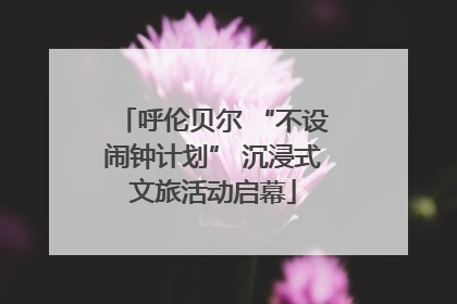 呼伦贝尔 “不设闹钟计划” 沉浸式文旅活动启幕