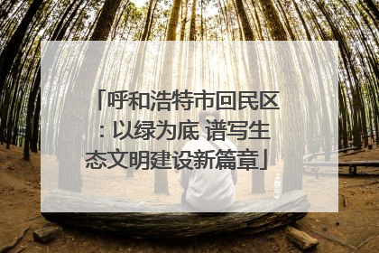 呼和浩特市回民区：以绿为底 谱写生态文明建设新篇章