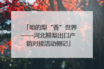 咱的梨“香”世界——河北鲜梨出口产销对接活动侧记