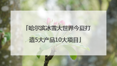 哈尔滨冰雪大世界今夏打造5大产品10大项目