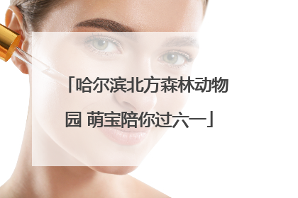 哈尔滨北方森林动物园 萌宝陪你过六一