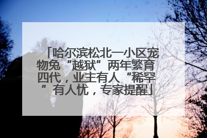 哈尔滨松北一小区宠物兔“越狱”两年繁育四代，业主有人“稀罕”有人忧，专家提醒