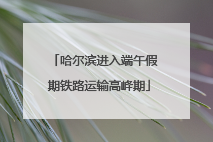 哈尔滨进入端午假期铁路运输高峰期