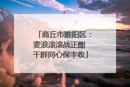 商丘市睢阳区：麦浪滚滚战正酣 干群同心保丰收