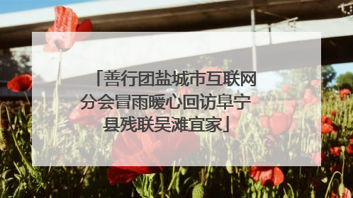 善行团盐城市互联网分会冒雨暖心回访阜宁县残联吴滩宜家