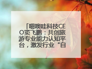 嗯噢哇科技CEO窦飞鹏：共创旅游专业能力认知平台，激发行业“自生长”力量