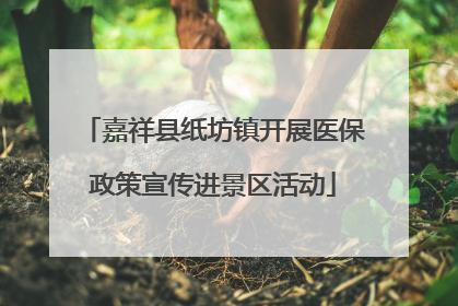 嘉祥县纸坊镇开展医保政策宣传进景区活动