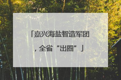 嘉兴海盐智造军团，全省“出圈”
