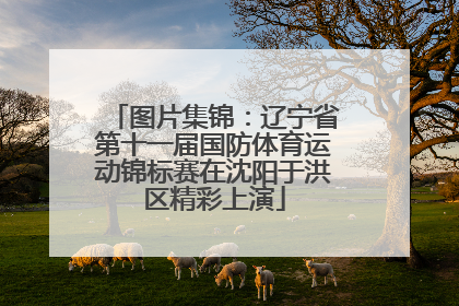 图片集锦：辽宁省第十一届国防体育运动锦标赛在沈阳于洪区精彩上演