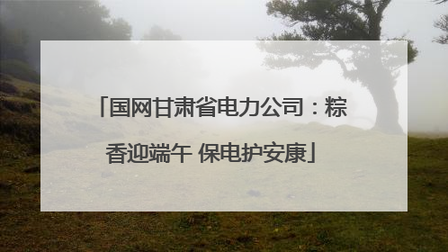 国网甘肃省电力公司：粽香迎端午 保电护安康