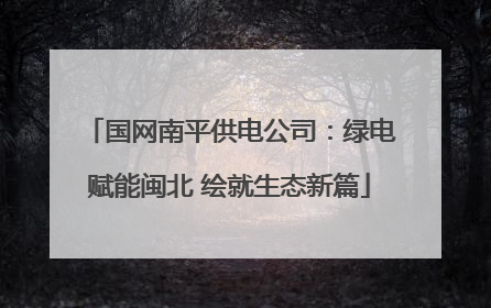 国网南平供电公司：绿电赋能闽北 绘就生态新篇