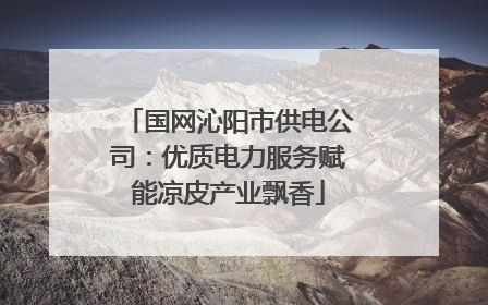 国网沁阳市供电公司：优质电力服务赋能凉皮产业飘香