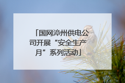 国网漳州供电公司开展“安全生产月”系列活动