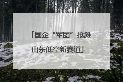 国企“军团”抢滩山东低空新赛道