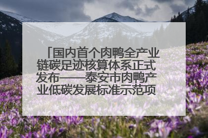 国内首个肉鸭全产业链碳足迹核算体系正式发布——泰安市肉鸭产业低碳发展标准示范项目顺利通过验收