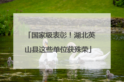 国家级表彰！湖北英山县这些单位获殊荣
