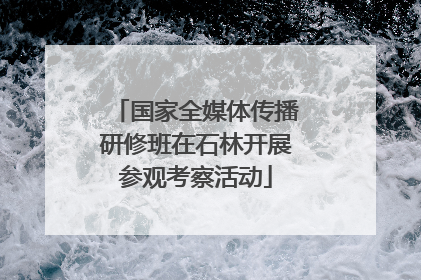 国家全媒体传播研修班在石林开展参观考察活动