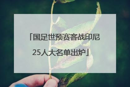 国足世预赛客战印尼25人大名单出炉