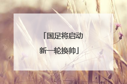 国足将启动新一轮换帅