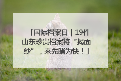 国际档案日｜19件山东珍贵档案将“揭面纱”，来先睹为快！