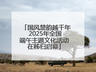国风楚韵越千年 2025年全国端午主题文化活动在秭归启幕