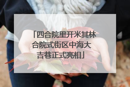四合院里开米其林 合院式街区中海大吉巷正式亮相