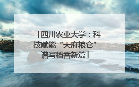 四川农业大学：科技赋能“天府粮仓”谱写稻香新篇