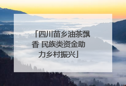 四川苗乡油茶飘香 民族类资金助力乡村振兴