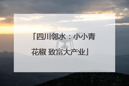 四川邻水：小小青花椒 致富大产业