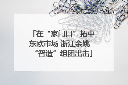 在“家门口”拓中东欧市场 浙江余姚“智造”组团出击