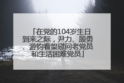 在党的104岁生日到来之际，尹力、殷勇、游钧看望慰问老党员和生活困难党员