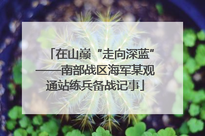 在山巅“走向深蓝”——南部战区海军某观通站练兵备战记事