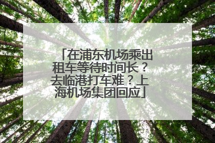 在浦东机场乘出租车等待时间长？去临港打车难？上海机场集团回应