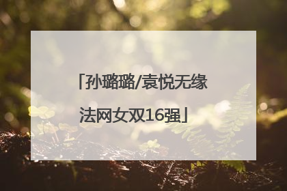 孙璐璐/袁悦无缘法网女双16强